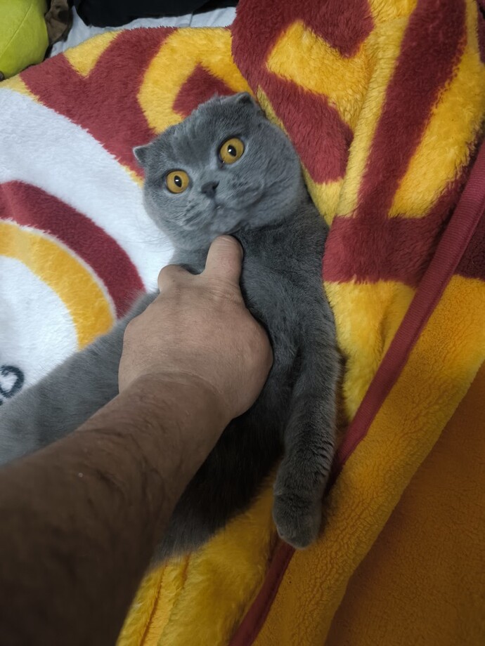 Çok ilgi görmek sizi boğar mı?