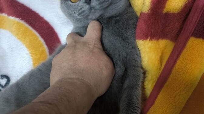 Çok ilgi görmek sizi boğar mı?
