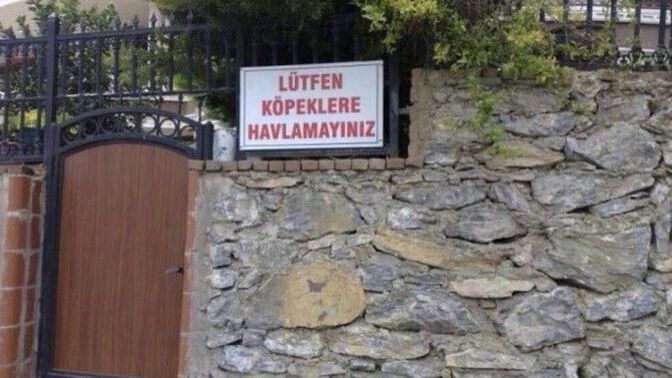 Tatil için hangisine giderdiniz Afganistan mı? yoksa Irak mı?