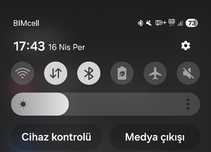 Mobil veriniz kaç G?