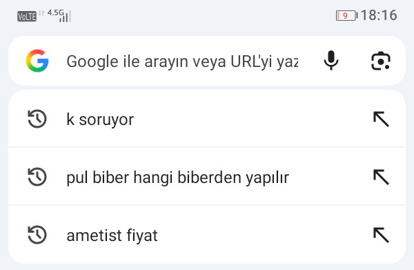 Googleda en son ne aradınız?