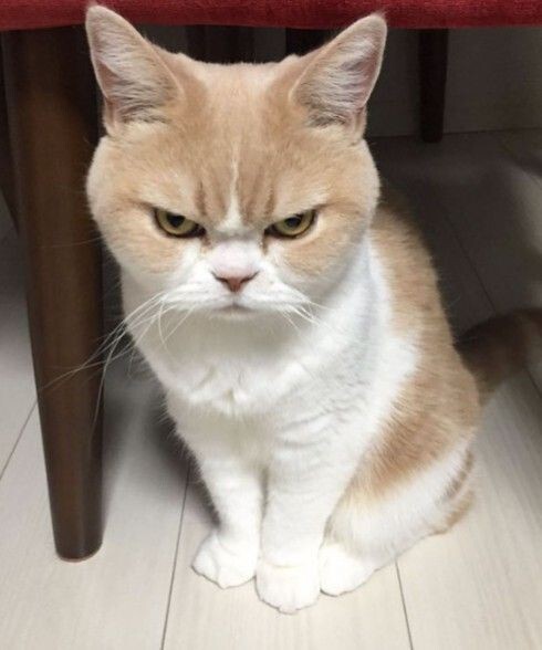 Gün içinde kaşlarınızı çok çatıyor musunuz?