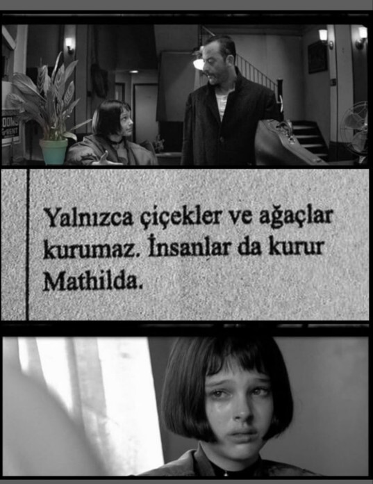 Çiçekler gibi insanlar da zamanla içten içe kurur mu, ruh hali nasıl yeşerir?
