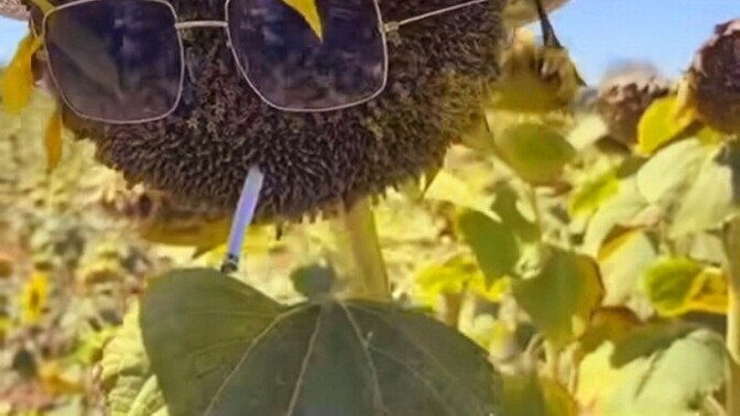 Sigarayı bırakmak gerçekten zor mu, bir ay içmeyince kesin bırakmış sayılır mıyım?