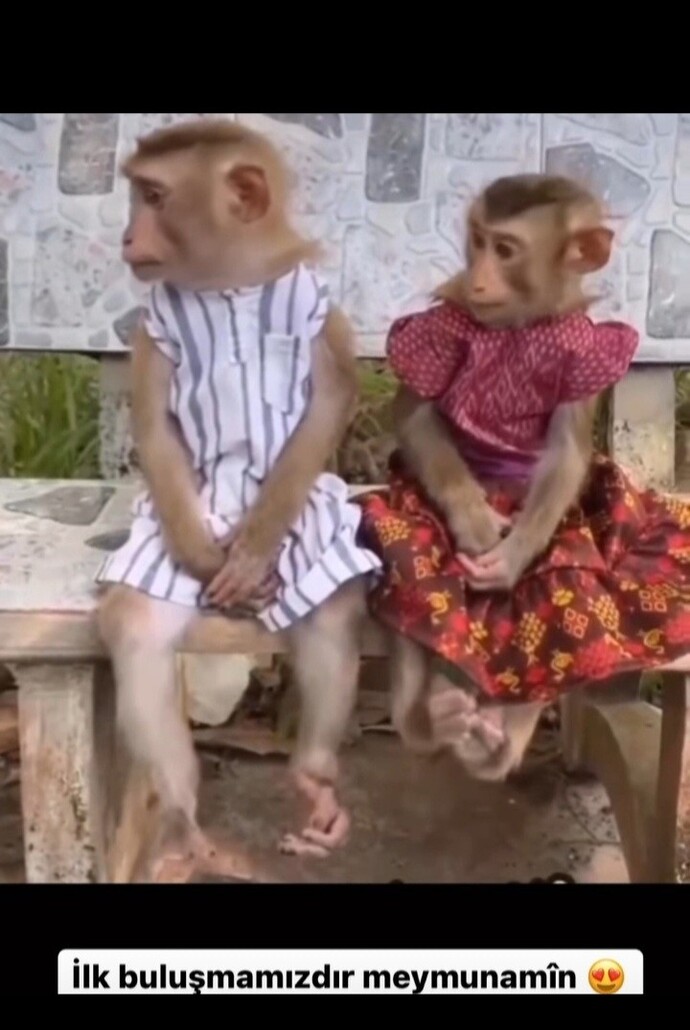 Bu dünyayı sevmedim ama azaldi kinim dediginiz ne var, sizde o iyi gelen sey ne?