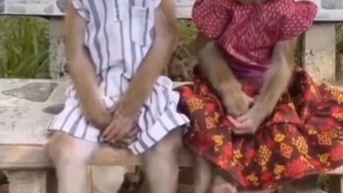 Bu dünyayı sevmedim ama azaldi kinim dediginiz ne var, sizde o iyi gelen sey ne?