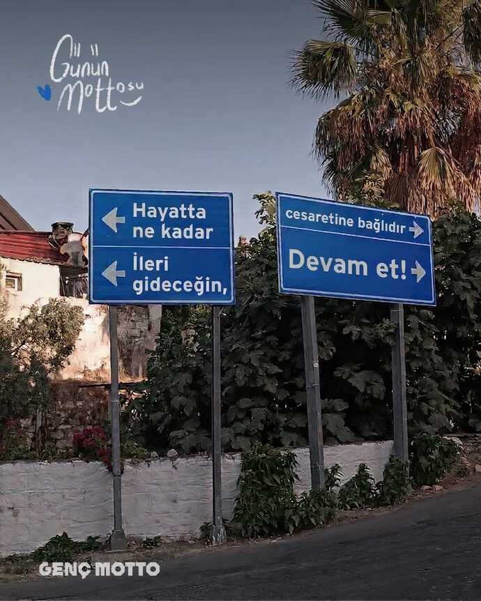 #nirhamm 🔴🔴🔴🔴
