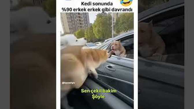 Hayatta ters giden durumlarda sakin mi kalırsınız yoksa anında tepki mi verirsiniz?