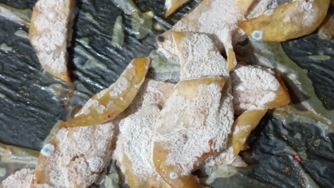 Patates Kızartması sever misiniz?