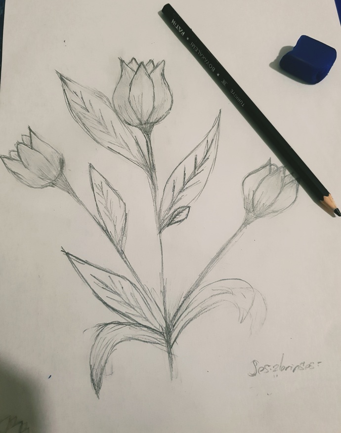 Yaptığım resmi açık artırmada satıyorum, sen olsan ne kadara alırdın resmimi?