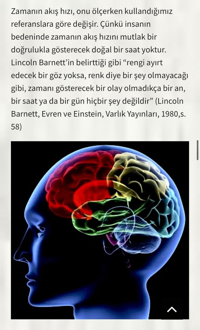 Zamanla aranız iyi midir; dakik, planlı programlı bir misinizdir?