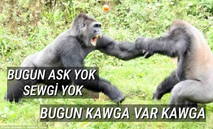 Şu sitede neden düzgün insan yok?