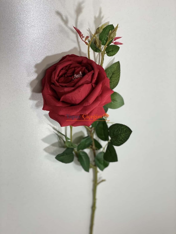 🌸🌸