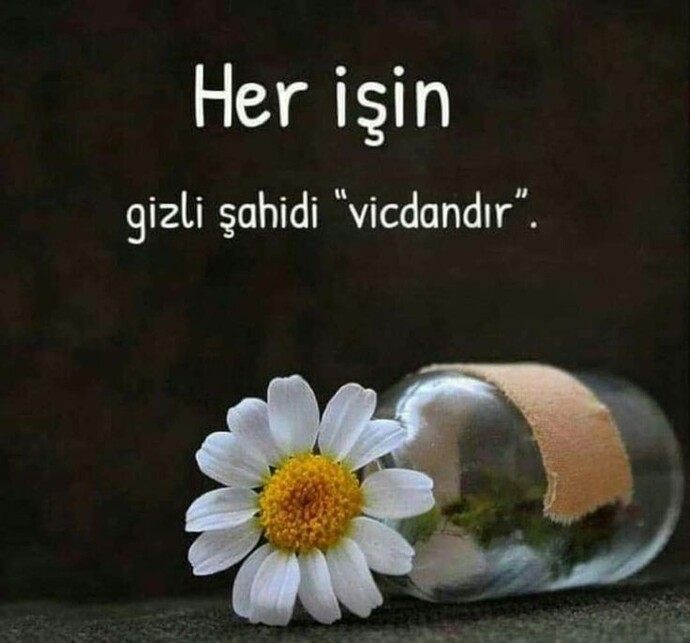 Vicdanlı biri olduğunuzu düşünüyor musunuz?