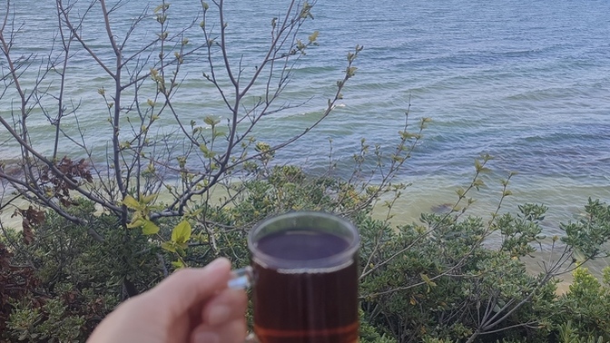 Pazar çayları içildi mi 🥰?