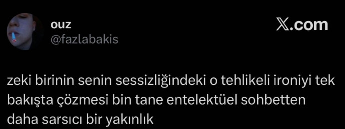 Sizin sessizliğinizdeki sesi anlayabilen biriyle karşılaştınız mı hiç?