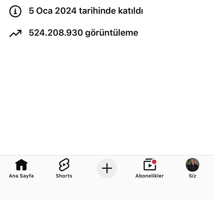 Sizce youtubede aylık gelir ne kadardır?