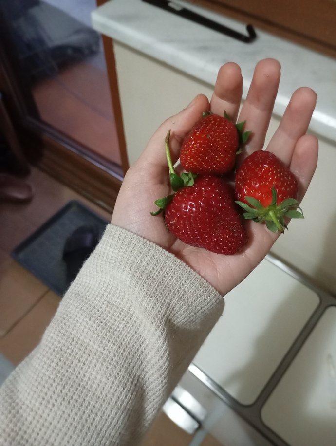 Çilek sezonunuzu açtınız mı🍓?