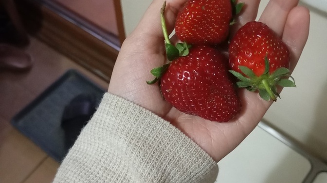 Çilek sezonunuzu açtınız mı🍓?