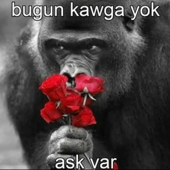 Kızlar, sizce bir erkeğin ilk mesajı nasıl olursa daha çekici olur?