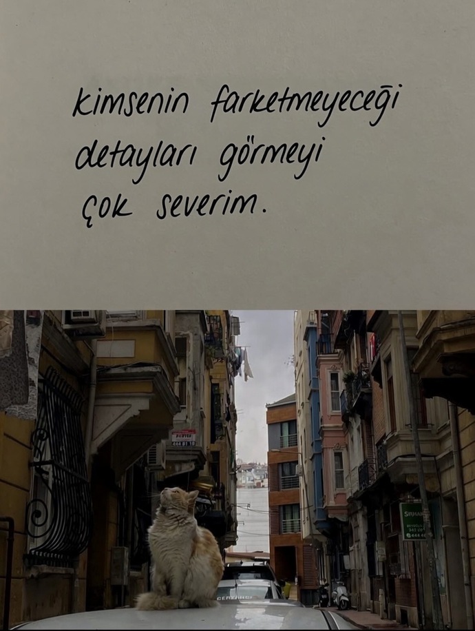 Detaylara önem veren bir insan mısınız?