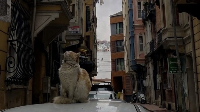 Detaylara önem veren bir insan mısınız?