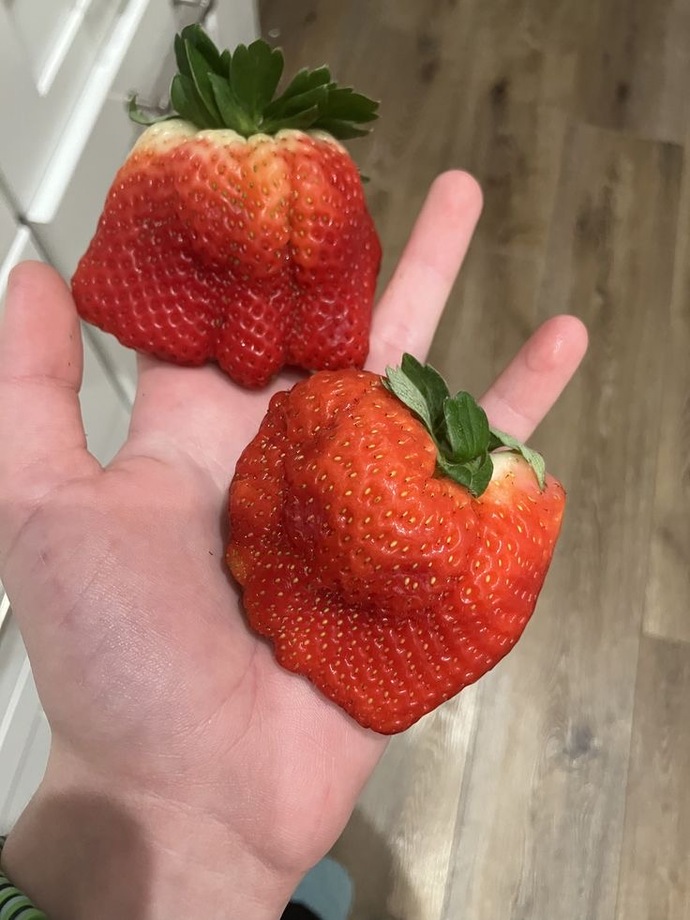 Yalnız tatsız diyemem toprak tadı alıyorum.