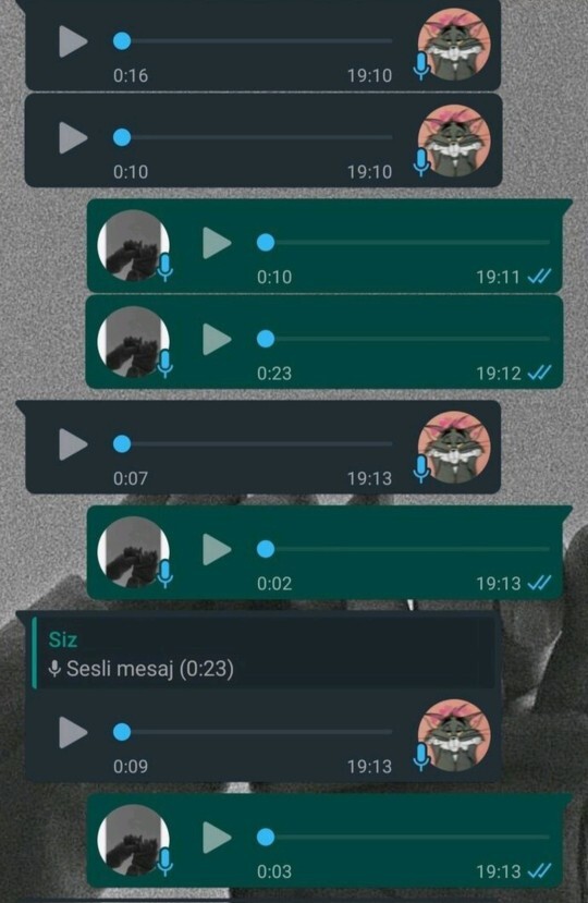 Sevgilinizin sesini whatsappta yıldızlayıp arada dinler misiniz?