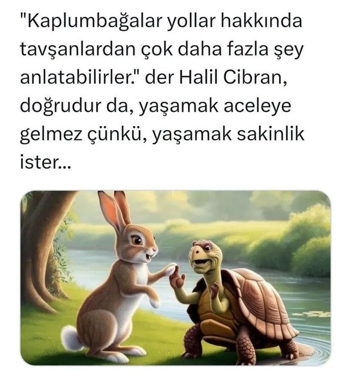Sizce yaşamak ne ister, hayatta kalmak mı yoksa gerçekten hissetmek mi?