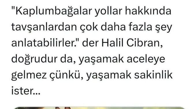 Sizce yaşamak ne ister, hayatta kalmak mı yoksa gerçekten hissetmek mi?