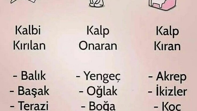 Sen Hangisisinn?