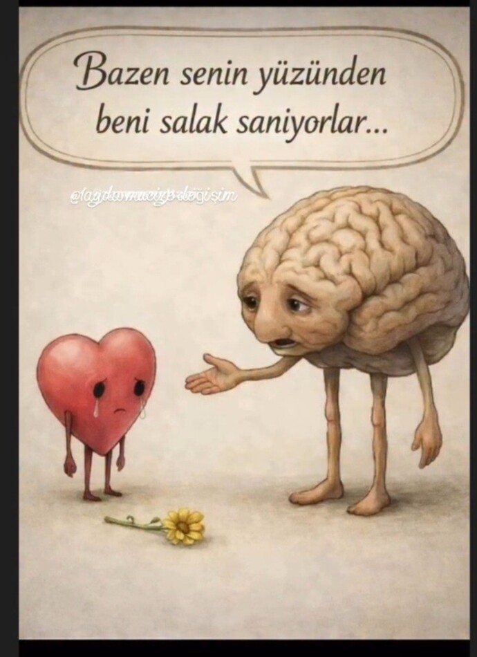 İlişkilerde kalbinizle mi yoksa beyninizle mi hareket etmek daha sağlıklı?