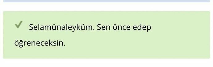 Kızlar arabacı olsa arabanın arka camına ne tarz yazılar, sözler yazardı?