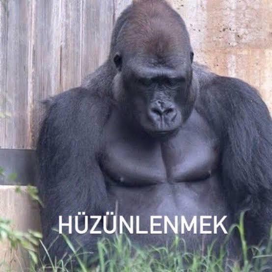 Olumsuzluklar sizi nasıl etkiler?