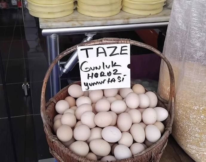 Karton bardak mı olmak isterdiniz yoksa pet şişe mi?