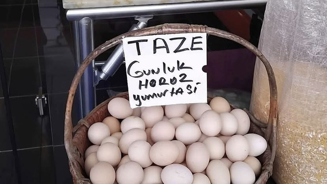 Karton bardak mı olmak isterdiniz yoksa pet şişe mi?