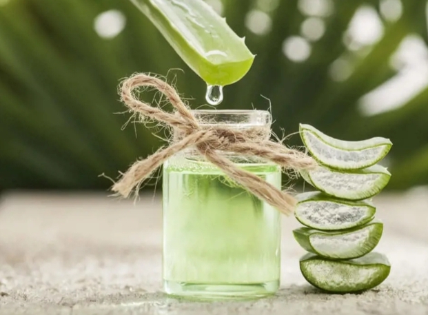 Aloe Vera jelinden cilt nemlendirici olarak faydalanıyor musun, evinde Aloe Vera çiçeği var mı?