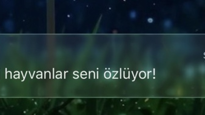 Sizi şimdi kimler özlüyordur?
