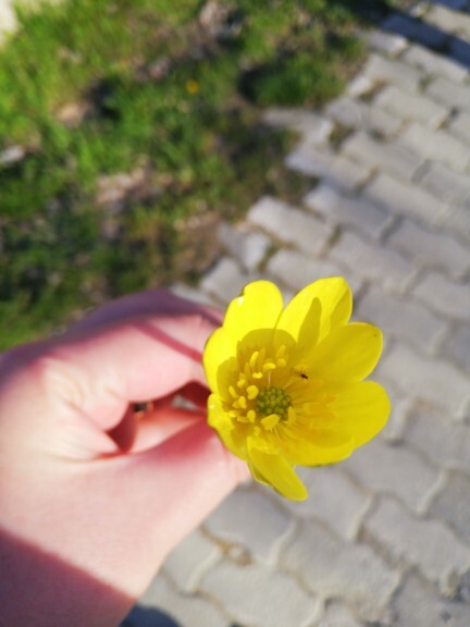 Yürüyüşe çıktığınızda yolda gördükleriniz ilginizi çeker mi☺️?