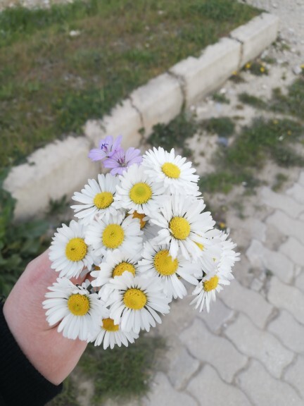 Yürüyüşe çıktığınızda yolda gördükleriniz ilginizi çeker mi☺️?