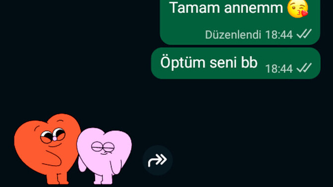 Sadece benim annem mi mesajı hep çıkartmalar ile bitiriyor?