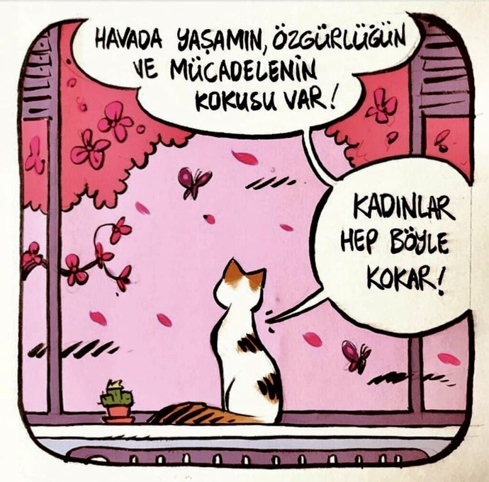 Havada ne kokusu var, sizin havanızda aşk kokusu var mı?