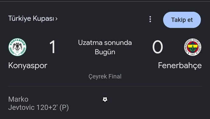 Fenerbahçe Türkiye Kupasından elendi. Ne düşünüyorsunuz?