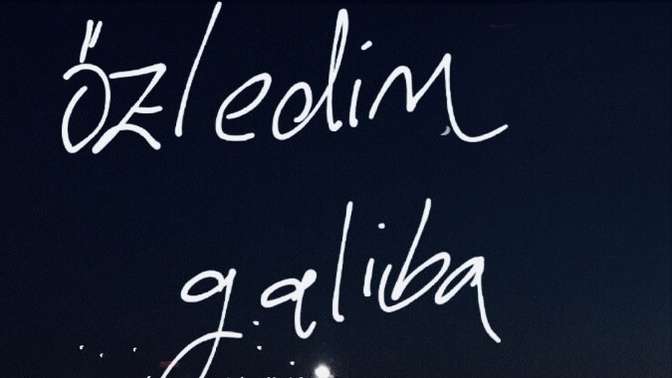 Galiba dediğin bişey var mı?