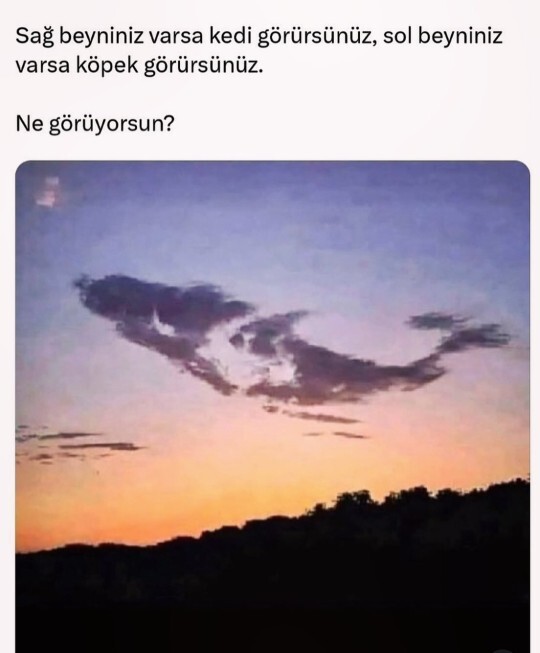 Fotoda ne görüyorsunuz?