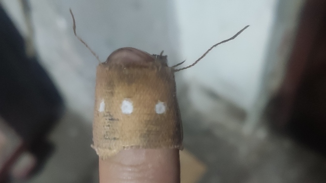 Yara bandımın antenlerinin çıkması şaka mı?