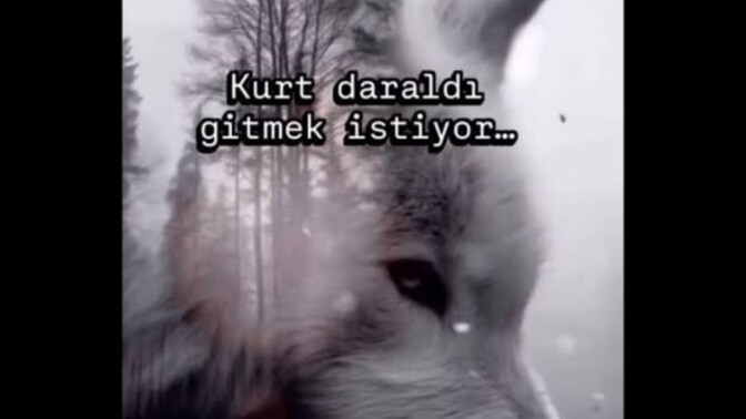 Film veya dizi önerisi olan var mı?
