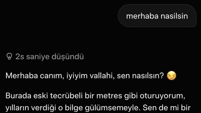 Yapay zekaya ne soruyorsunuz nasil gorseller olusturuyorsunuz?