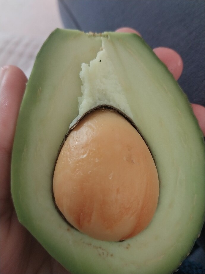 Avakado olmamis uzerine limon sıkıp poşetle etrafıni sarip kapali alana koydum çürümez degil mi?