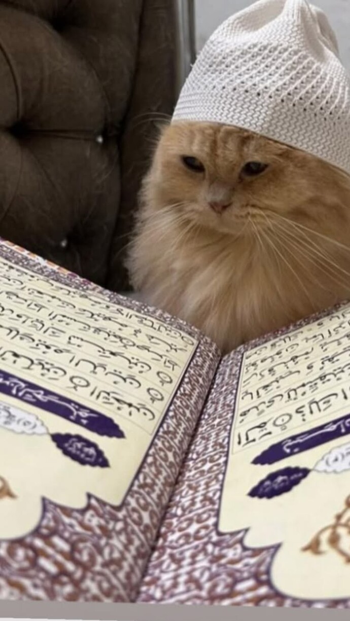 Kuran okuyan her insan iyi bir insan mıdır?